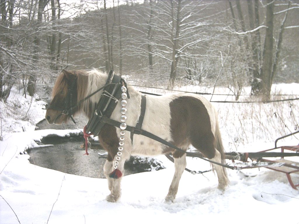 PICT0319.jpg
